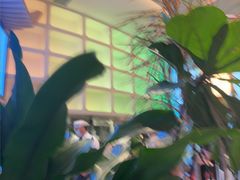 -桂满陇·蟹黄小笼汤包(清河万象店)
