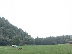 -武陵山森林公园