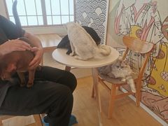 -Let's go狗咖·猫咖·奶狗·桌游(春熙路IFS店)
