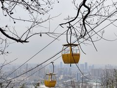 -惠山国家森林公园