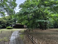 -东京国立博物馆