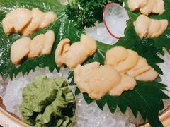 海胆刺身-九井澤精致料理(金茂店)