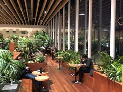 -Seesaw Coffee(朝阳大悦城店)