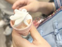 -麦当劳(皇岗路店)