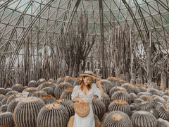 -深圳仙湖植物园-停车场