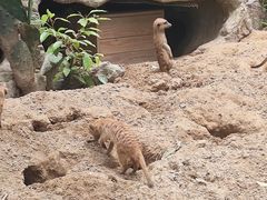 -宁波野生动物园