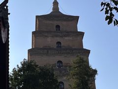 -大慈恩寺(大雁塔)