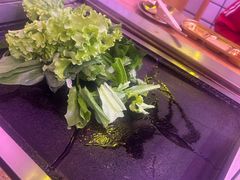 -郭记烤肉创始店(民丰大街店)