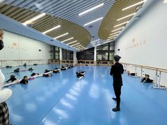 -西安小天鹅艺术团(曲江Alice店)