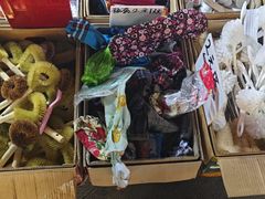 -长藤鬼校(龙翔店)