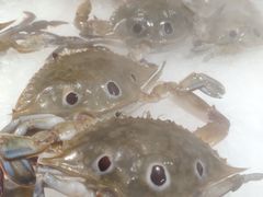 -红透天牛排海鲜自助(长和国际直营店)