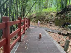 -赤水丹霞旅游区·大瀑布
