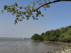 -宝安西湾红树林湿地公园