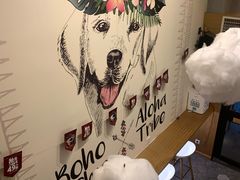 -拾光·小碗甜品