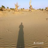 塔里木沙漠公路