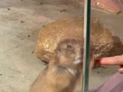 -正佳雨林生态植物园