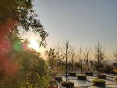 -铁山坪森林公园