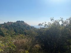 -府君山公园