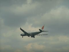 -空港花田景区
