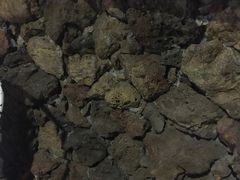 -大碗厨 25年老字号 现炒湘菜(四季天地店)