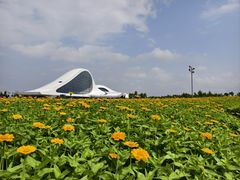 -哈尔滨大剧院