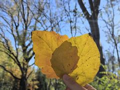 -朝阳公园游乐园