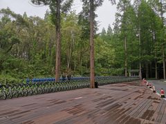 -东平国家森林公园