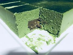 -21cake廿一客蛋糕
