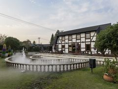 -金山农民画村-枫泾波兰倒置屋