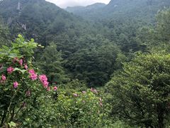 -苍山感通索道