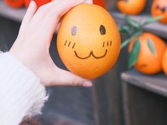 -林坑古村落