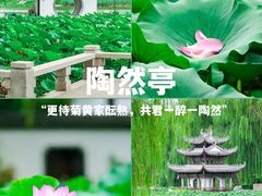 -陶然亭公园