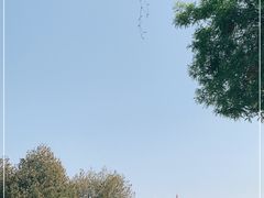 -大雁塔北广场音乐喷泉
