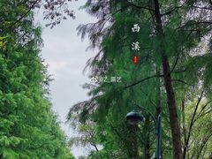 -西溪国家湿地公园