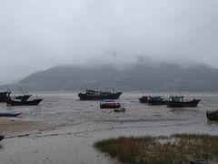 -北岐滩涂