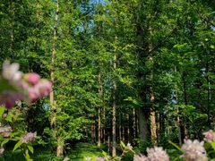 -国家植物园南园