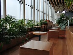 -Seesaw Coffee(朝阳大悦城店)