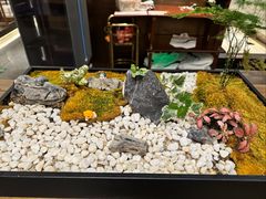 -松鹤楼·非遗·苏帮菜(融科店)