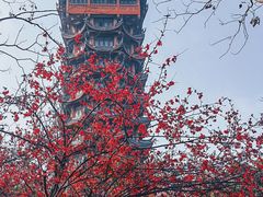 -塔子山公园