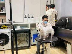 -佐罗家宠物馆·猫文化馆(紫霞路店)