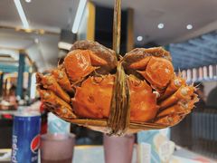 大闸蟹畅吃-一绪に寿喜烧(荟聚店)