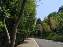 -紫金山山顶公园