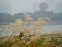 -海底捞火锅(长沙华创国际广场店)