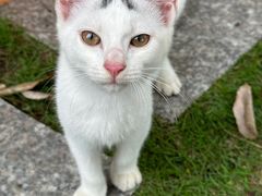 -东华大学(松江校区)