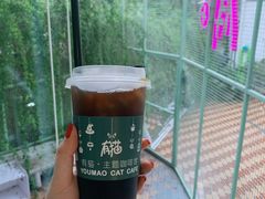 冰美式咖啡-有猫主题·治愈系猫咖(曾厝垵店)