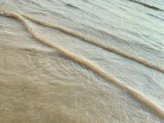 -启东黄金海滩景区