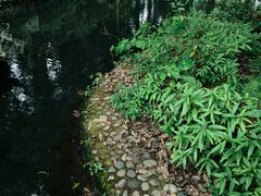 -温江公园