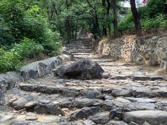 -阳台山自然风景区