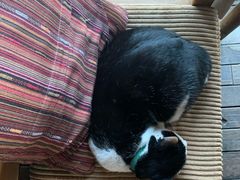 -BUND·FIVE外滩5号(天际店)