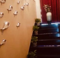 -唯伊美塑身美养连锁